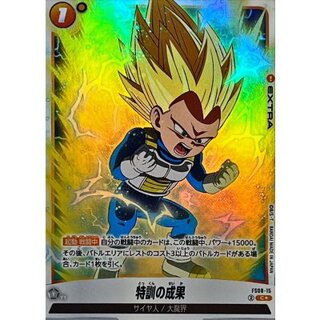 Results of special training (parallel) [C☆] {FS08-15} 1