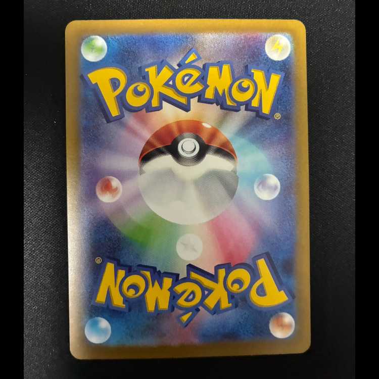 Pidgeotex SSR 335/190 1枚