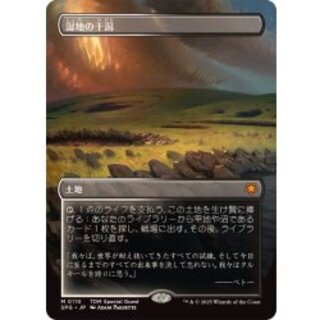 (FOIL)(Full Art)(0110)Marsh Flats/Marsh Flats [Japanese] [SPG 1