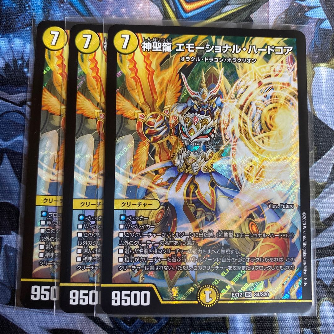 神聖龍 エモーショナル・ハードコア