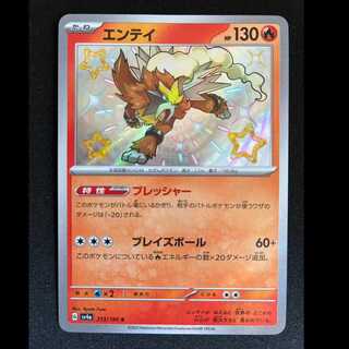 Entei S 213/190 1枚