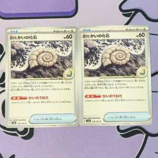 古びたかいの化石 C 154/165 2枚