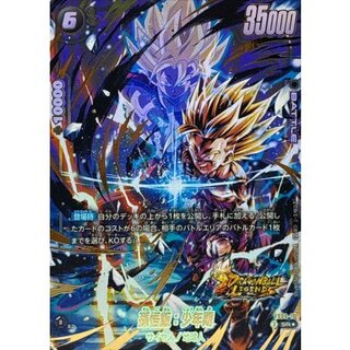 Son Gohan: Boyhood (parallel/golden lettering) [SR☆] {FS09-10} 1