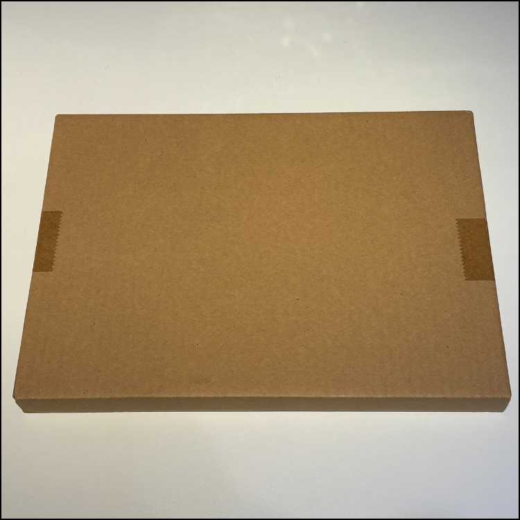 カオスソルジャー(当選通知書付き、ダンボール付き) (未開封) [プリズマ] {PSEC-JP004} 1枚