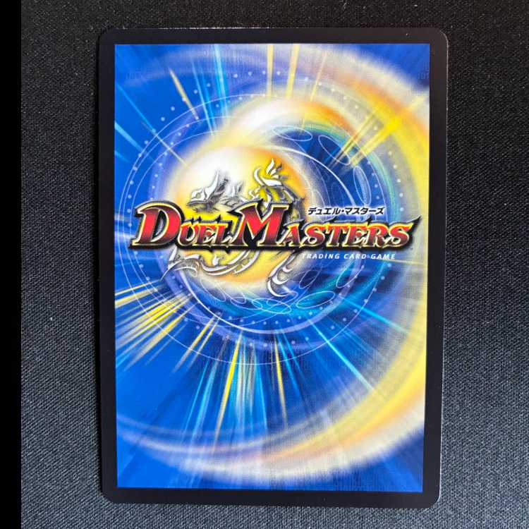 龍素記号wD サイクルペディア SR 14/84 1枚