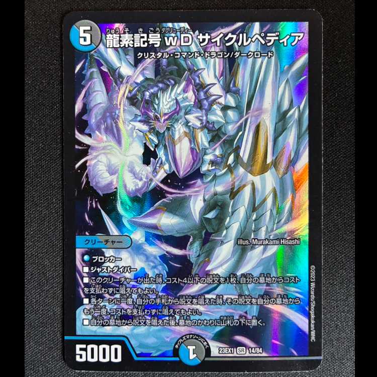 龍素記号wD サイクルペディア SR 14/84 1枚