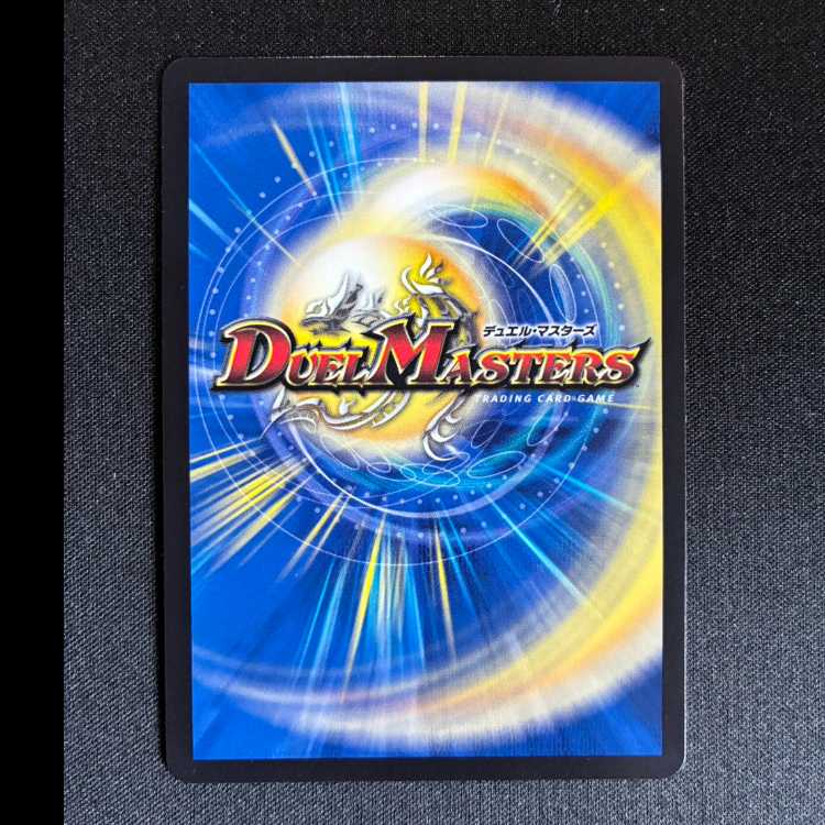 龍素記号wD サイクルペディア SR 14/84 1枚