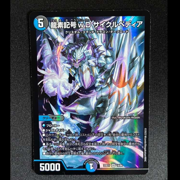 龍素記号wD サイクルペディア SR 14/84 1枚