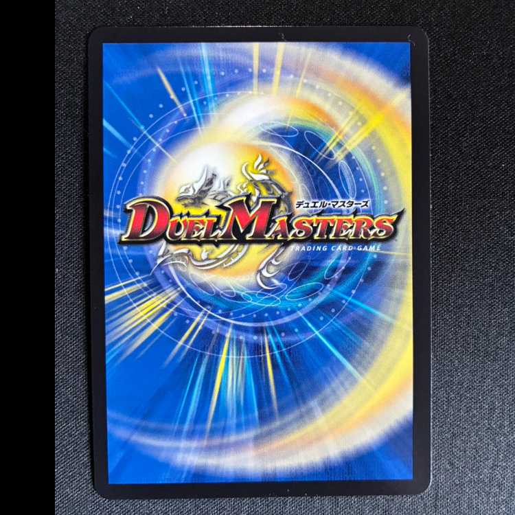 龍素記号wD サイクルペディア SR 14/84 1枚