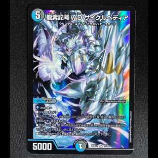 龍素記号wD サイクルペディア SR 14/84 1枚
