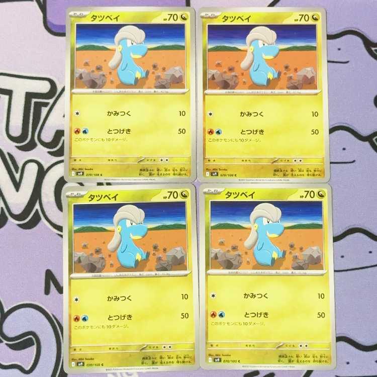 タツベイ C 070/100 4枚