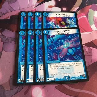 T・アナーゴ　マリン・フラワー