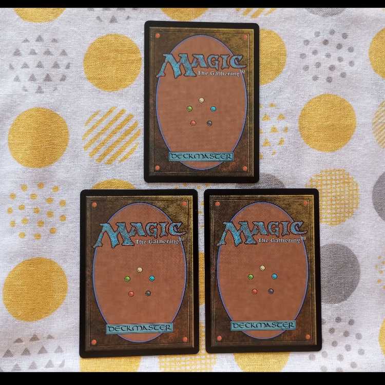 陽背骨のオオヤマネコ 3枚