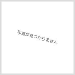 Sleeve "Initial Logo White" 60pcs [-] {-} [Sleeve 1枚