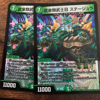 武家類武士目 ステージュラ VR