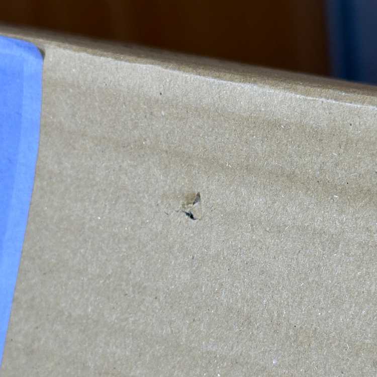 スーパードラゴンボールヒーローズ 11th ANNIVERSARY SPECIAL SET 1枚