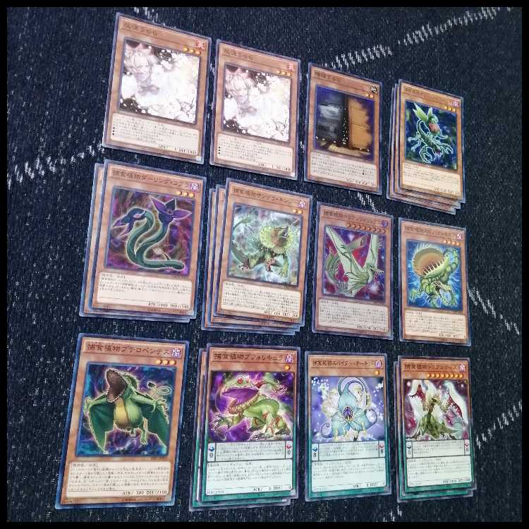 遊戯王　デッキ　捕食植物　プレデター・プランツ　スターヴ　[04467] 1枚