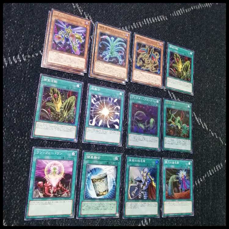 遊戯王　デッキ　捕食植物　プレデター・プランツ　スターヴ　[04467] 1枚