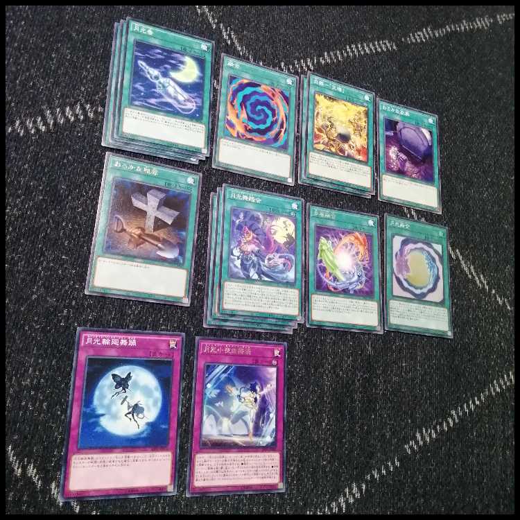 遊戯王　デッキ　月光　ムーンライト　月光舞剣虎姫　月光融合　[04473] 1枚