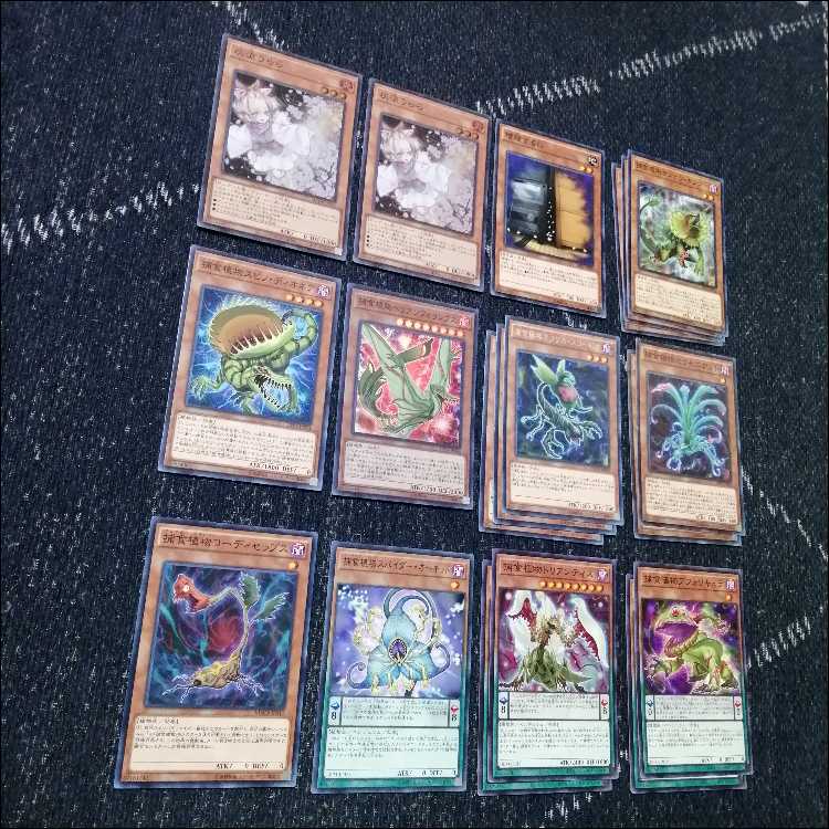 Yu-Gi-Oh Deck Prey Upon Plant Predator Plants Starve [04464]. 1枚