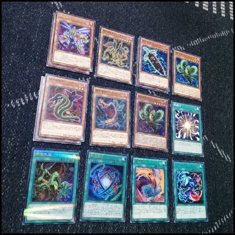 Yu-Gi-Oh Deck Prey Upon Plant Predator Plants Starve [04464]. 1枚