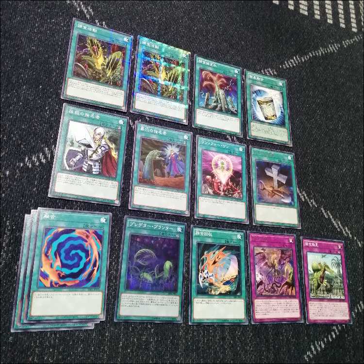 Yu-Gi-Oh Deck Prey Upon Plant Predator Plants Starve [04464]. 1枚