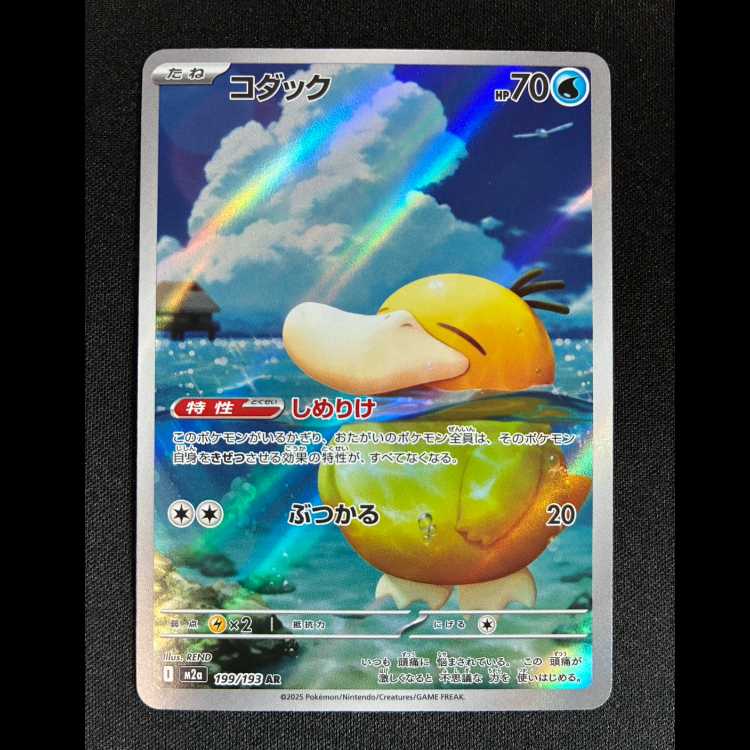 コダック AR 199/193 1枚