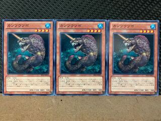 【ぽぽたん】遊戯王 1113 カンツウツボ 3枚 ノーマル