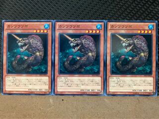 【ぽぽたん】遊戯王 4694 カンツウツボ 3枚 ノーマル