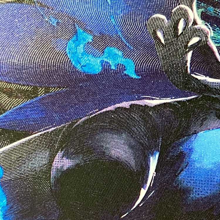 状態B　メガリザードンXex SAR 110/080 1枚