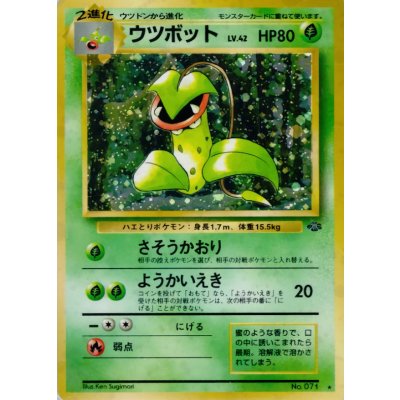 State B] Victreebel LV.42 [★] {Old back} 1枚