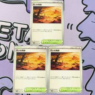 Wasteland of Disaster U 070/071 3枚