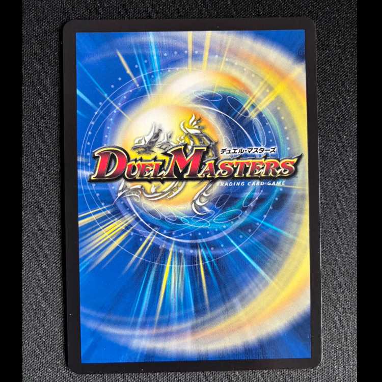 龍素記号wD サイクルペディア SR 18/130 1枚