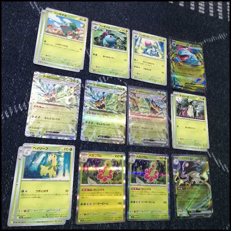 ポケモンカード　メガフシギバナex　オーガポンex　デッキ　[04496] 1枚