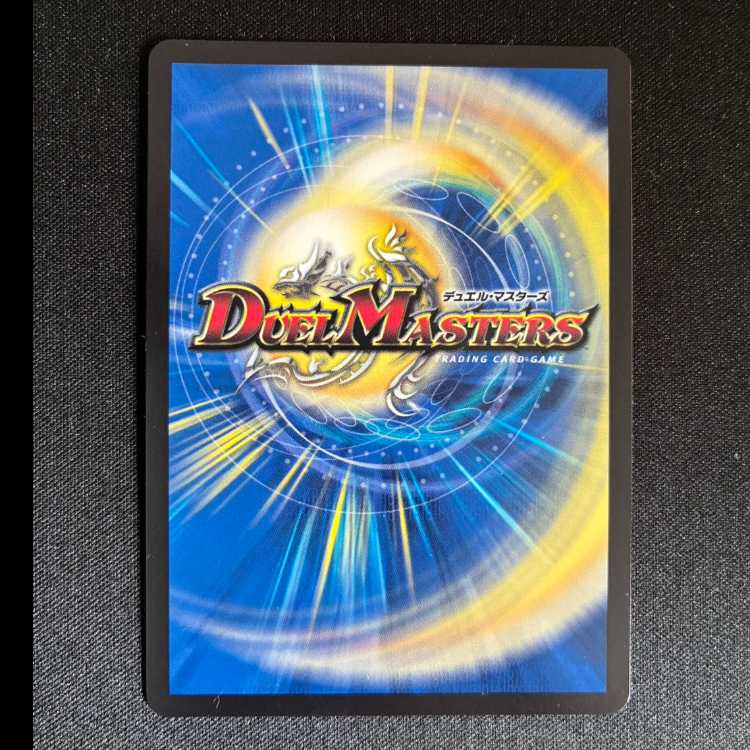 龍素記号wD サイクルペディア SR 18/130 1枚