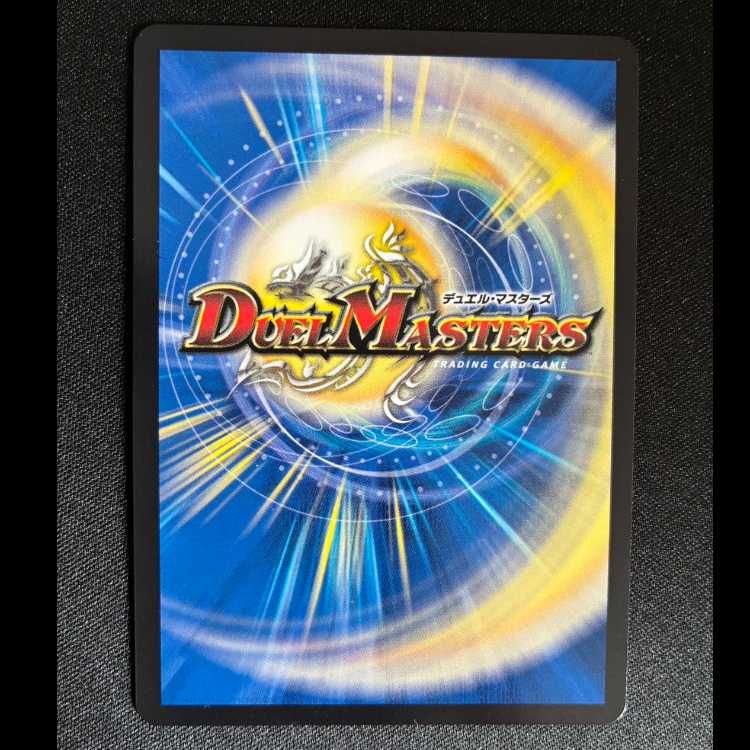 勝熱伝双 モモキングVS DMR DM1/DM4 1枚