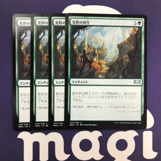 荒野の再生 4枚