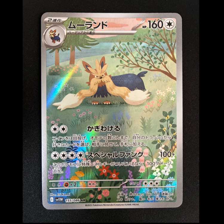 Stoutland AR 155/086 1枚