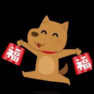 Limited to one! Hot Summer Fortune Bag 1枚