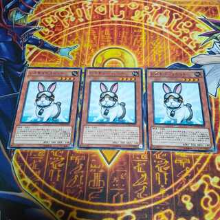 レスキューラビット レア JP037 3枚