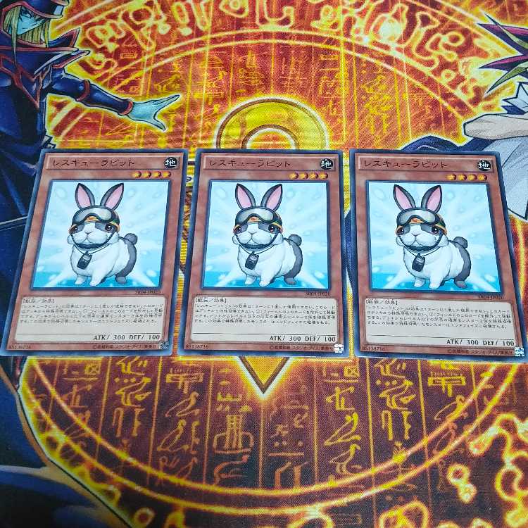 レスキューラビット ノーマル JP020 3枚