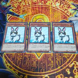 レスキューラビット ノーマル JP020 3枚