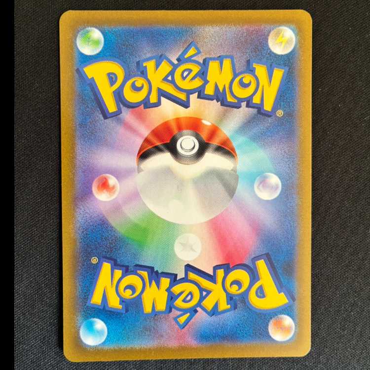 Ortiga SR 130/108 1枚