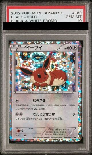 【PSA10】イーブイ (コレクションファイル) PROMO 189/BW-P 1枚