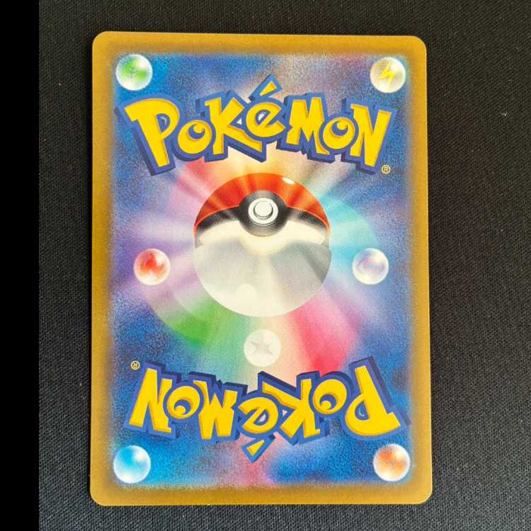 イルカマン AR 111/108 1枚