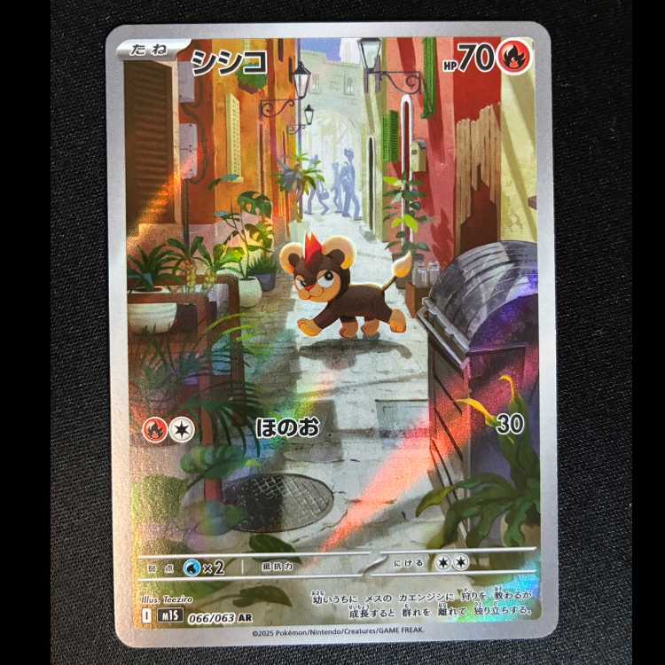 シシコ AR 066/063 1枚