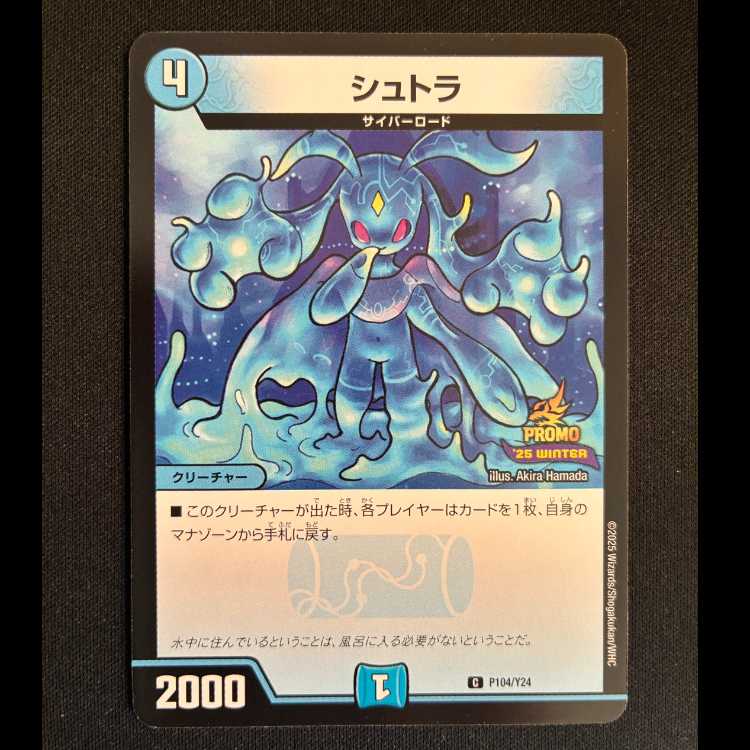 Shtra C P104/Y24 1枚