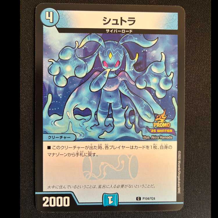 Shtra C P104/Y24 1枚