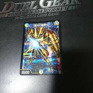 「雷光の聖騎士」