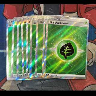 Basic GrassEnergy SR 251/172 9枚